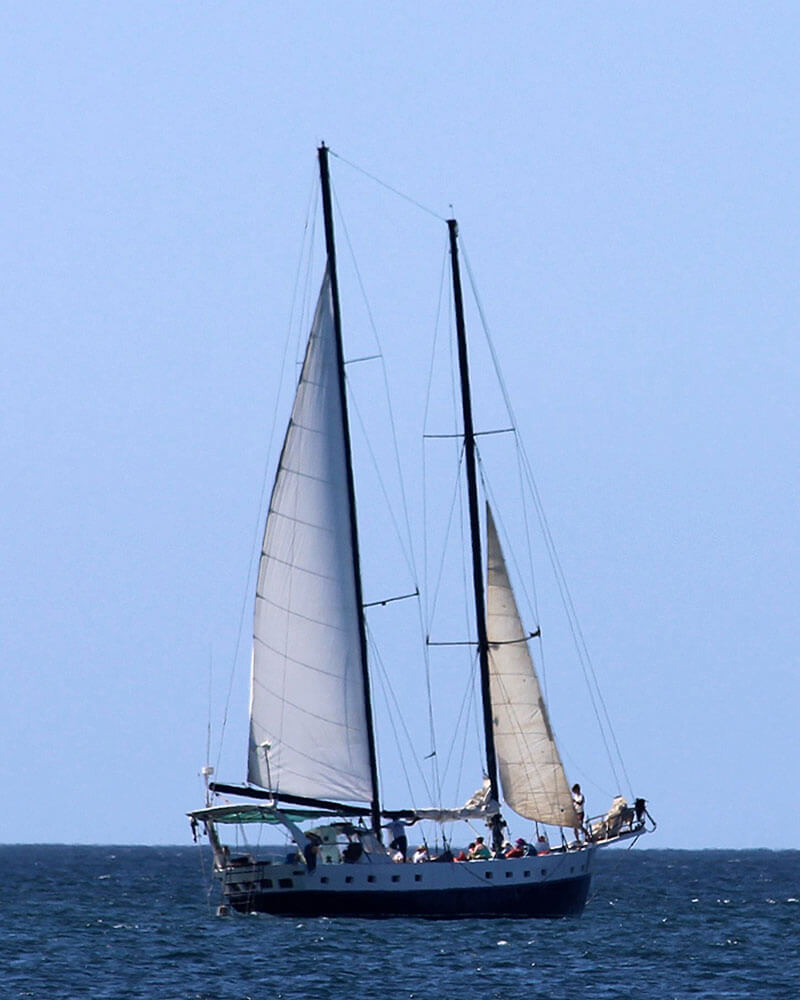 Sunset Schooner Cruise