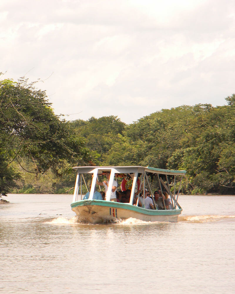 Costa Rica Crocodile Safari Tour