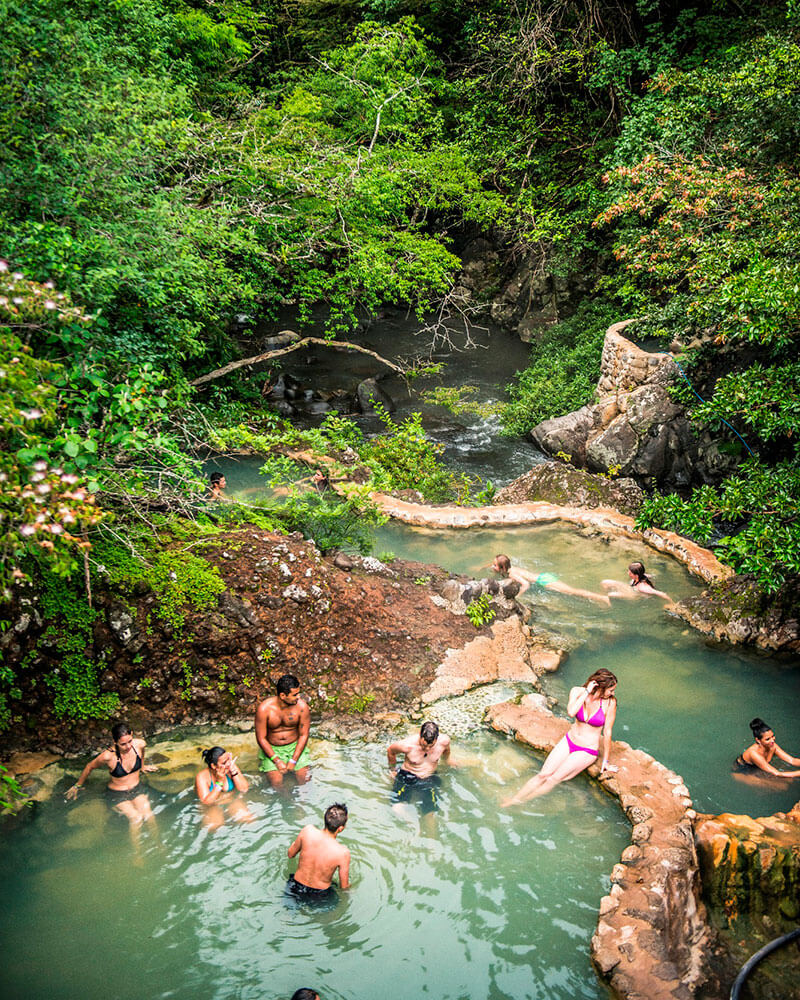 Costa Rica National Park Nature Tour