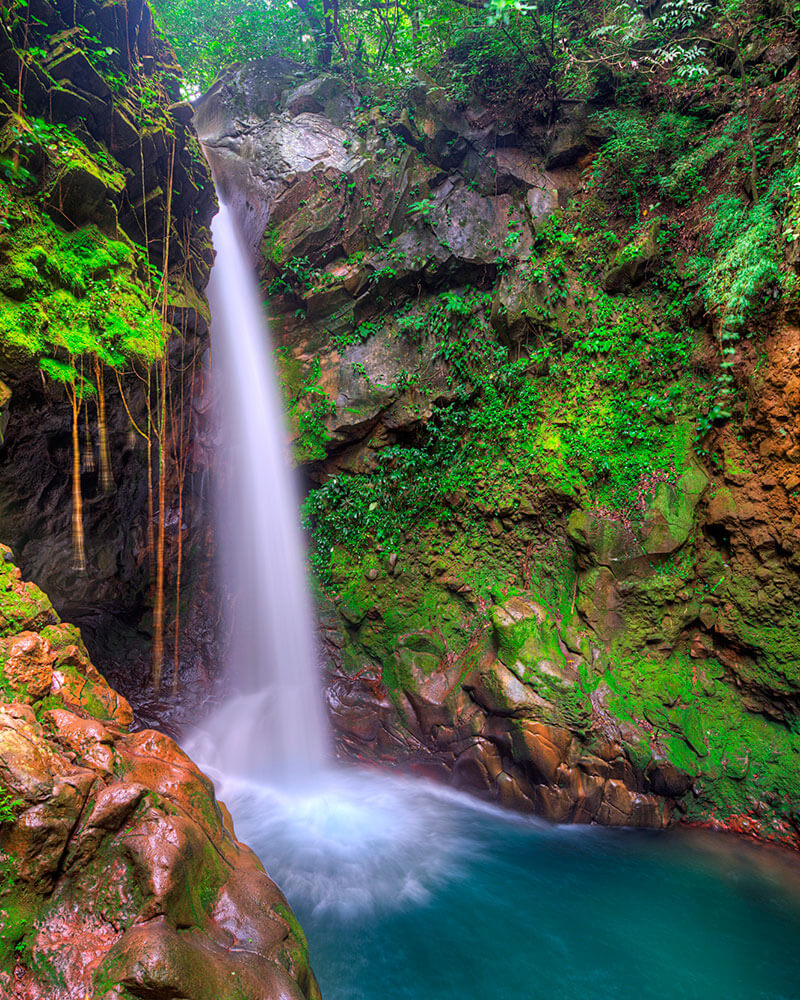 Costa Rica National Park Nature Tour