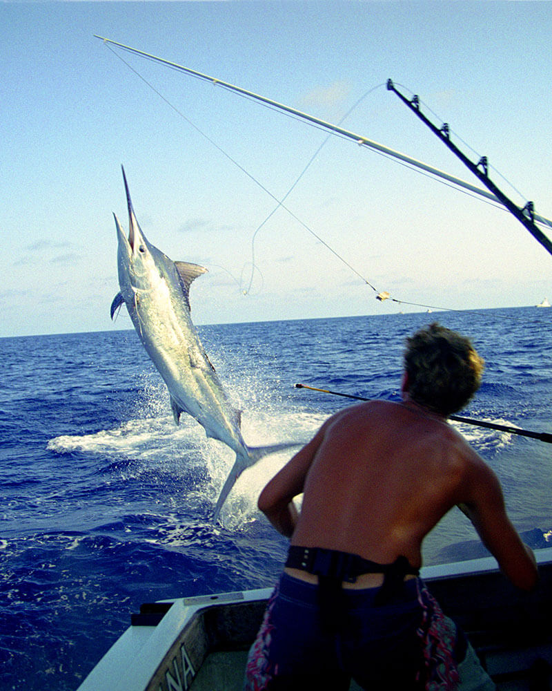 Deep Sea Fishing Tour, Costa Rica