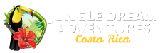 Jungle Dream Adventures